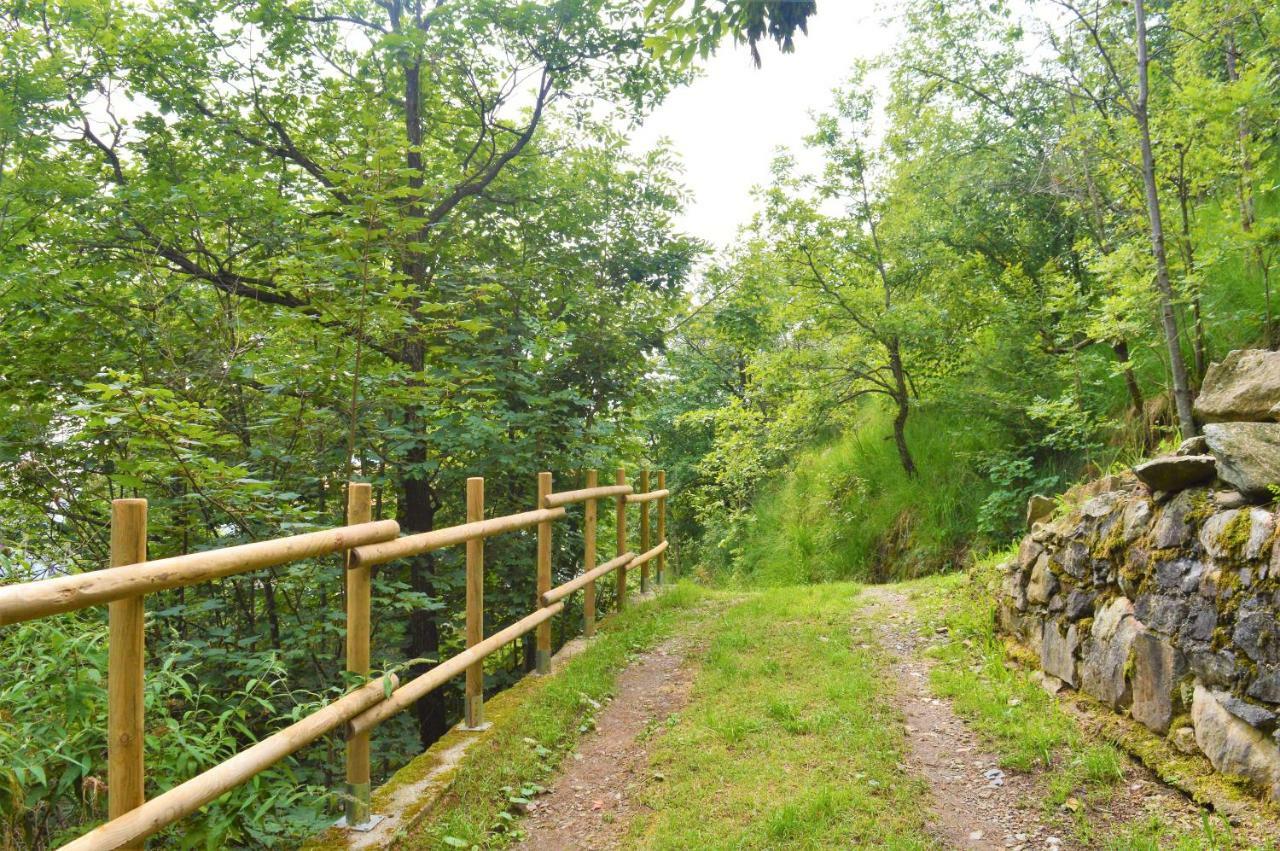 Gold Cave Casa Vacanze Relax Nel Bosco Appartamenti Pessinetto Exterior foto