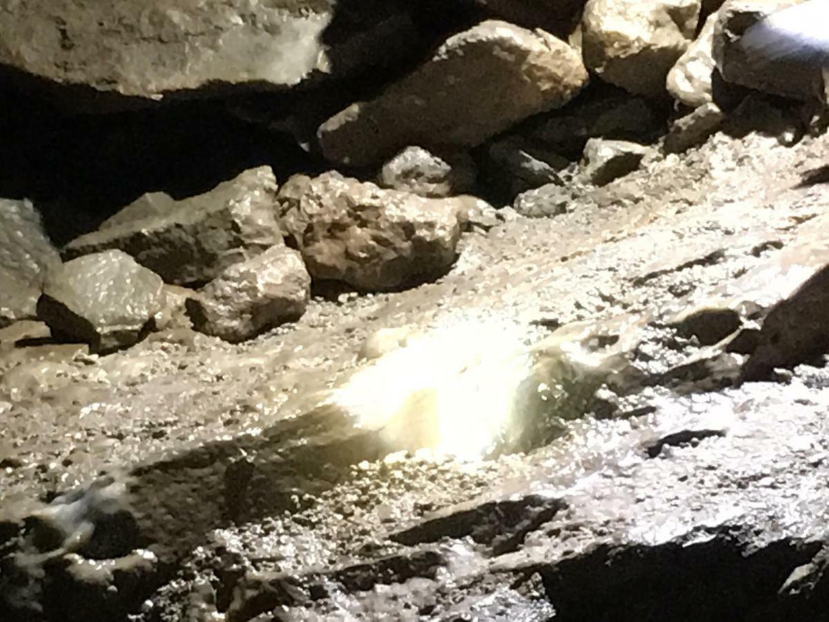 Gold Cave Casa Vacanze Relax Nel Bosco Appartamenti Pessinetto Exterior foto